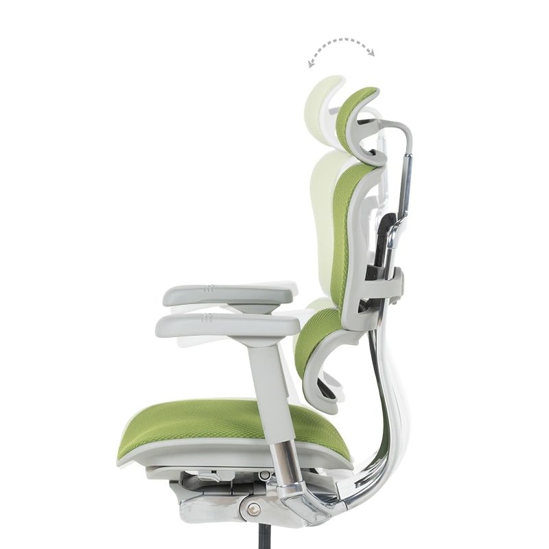 Ергономичен офис стол Ergohuman Elite 2 дамаска зелен-сива рамка